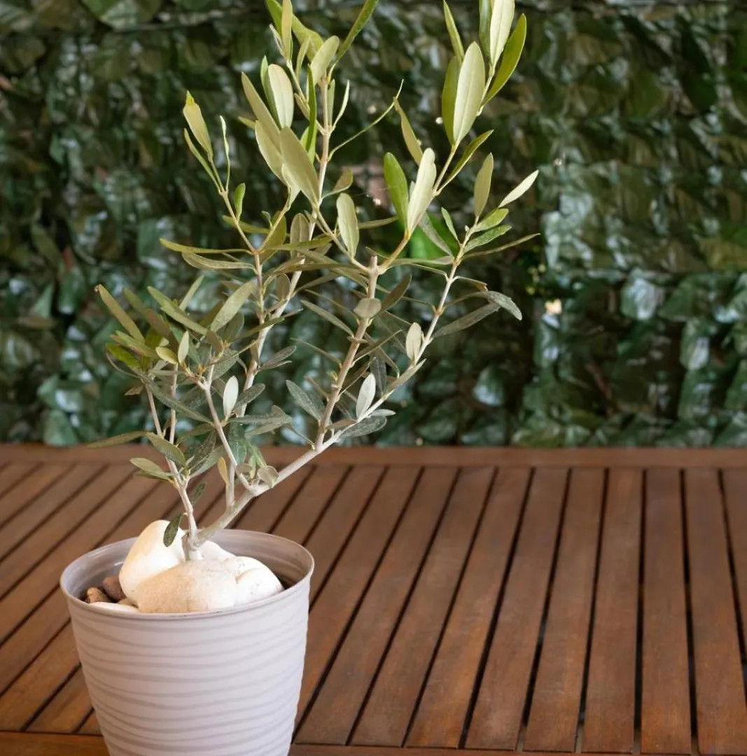 Serene Nest By Rentalpro Services - Nikiti Halkidiki 希腊